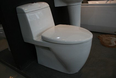 陶瓷衛(wèi)生潔具八見解 多功能、富于表現(xiàn)力與生命力